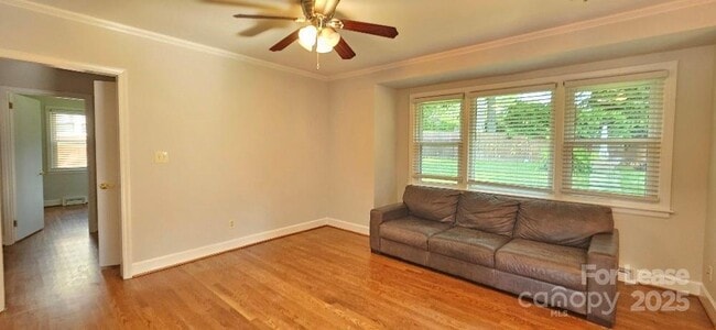 Building Photo - 513 Webster Pl