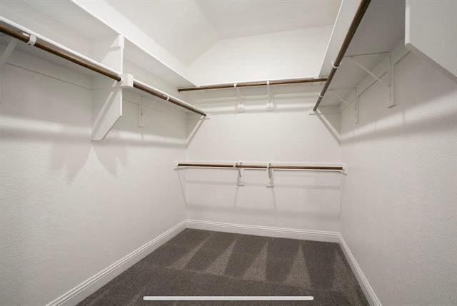 Building Photo - 4432 Thalia Wy