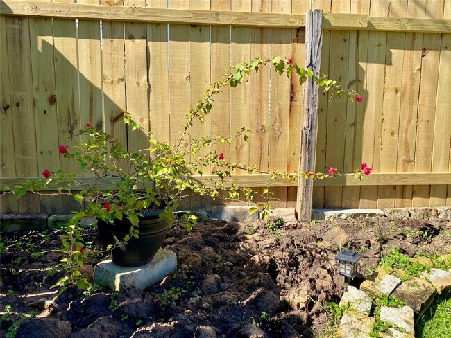 Building Photo - 2827 Mustang Hill Ln