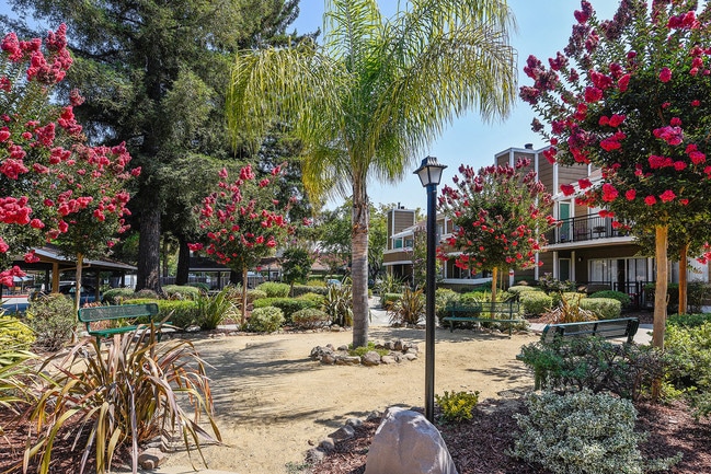 Building Photo - Town & Country Apartments