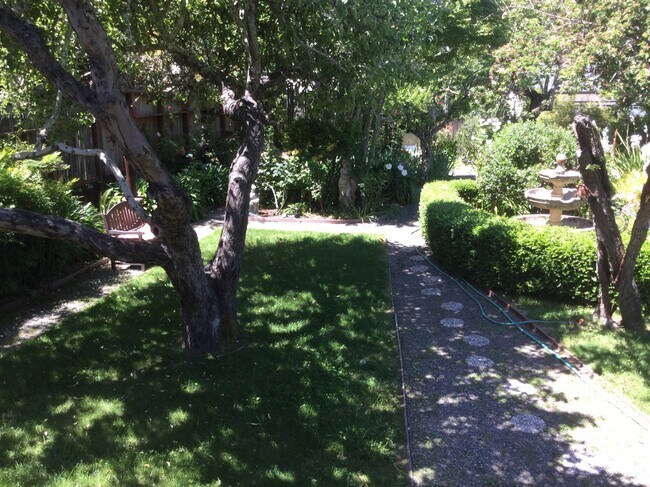 garden - 11 Marin St