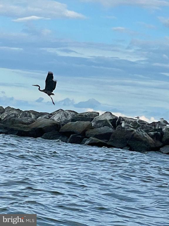 Building Photo - 16197 Thomas Rd