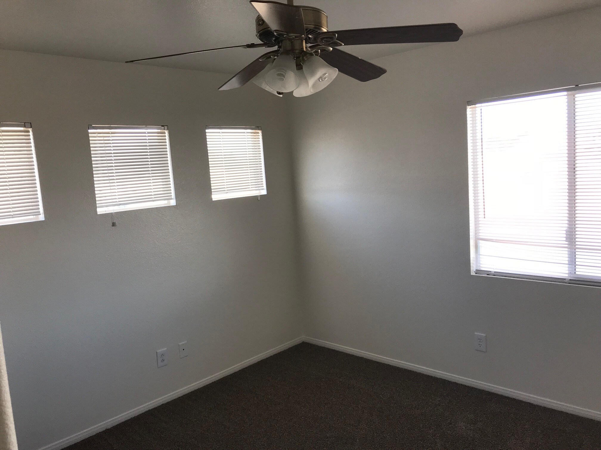 Building Photo - 344 Velino Ave