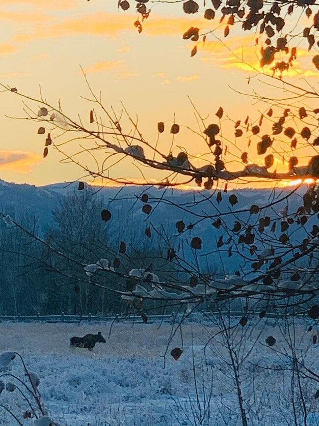 Building Photo - Spacious  3 bedroom 2.5 bathroom townhouse