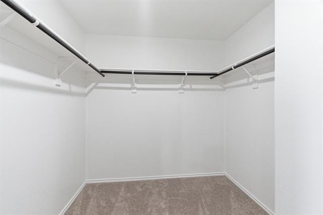 Building Photo - 805 Bluffview Dr