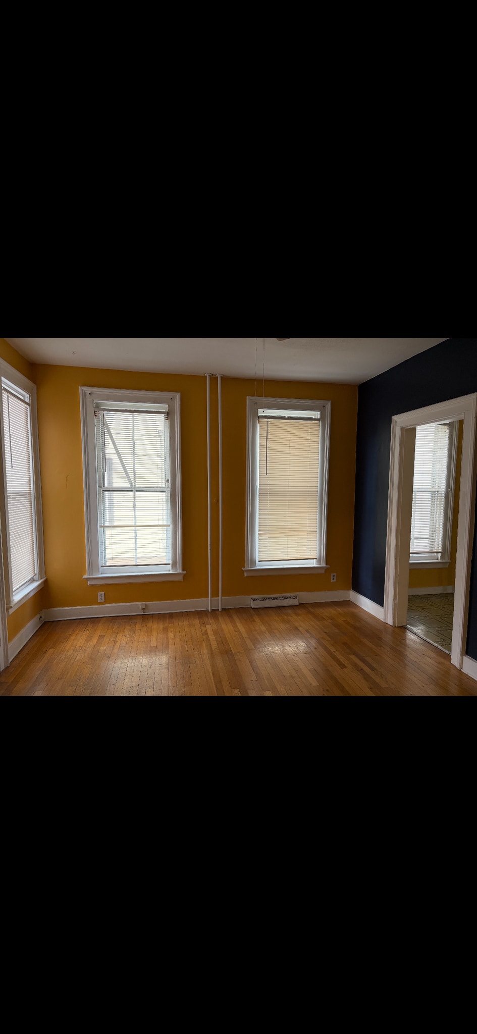 Building Photo - 17 Pearl St