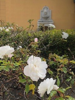 Building Photo - 1869 E Ocean Ave