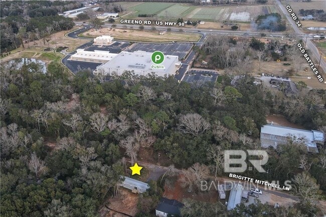 Building Photo - 18113 Brigitte Mitchell Ln