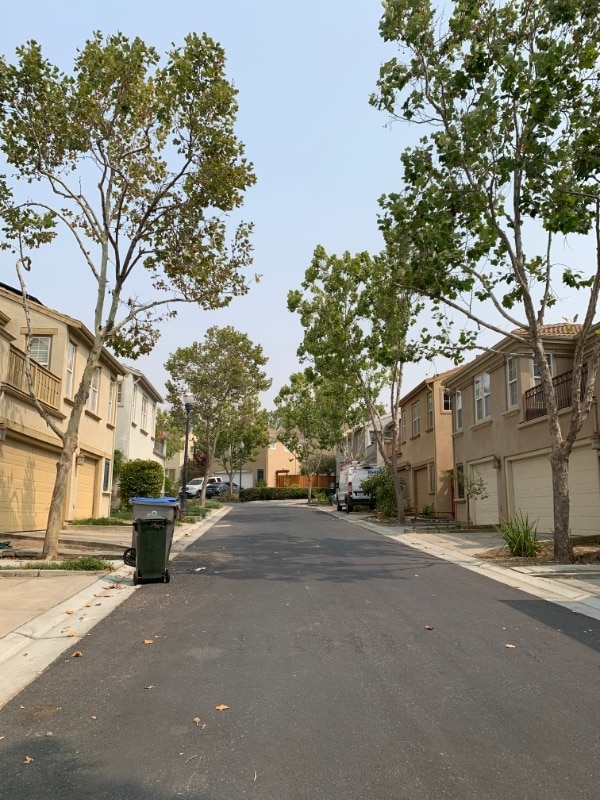 Building Photo - 3338 Ariel Joshua Ct