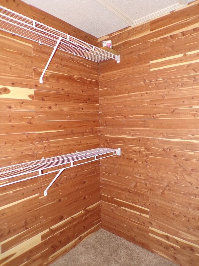 Building Photo - Nice 3 Bedroom 2 Bathroom House In South C...