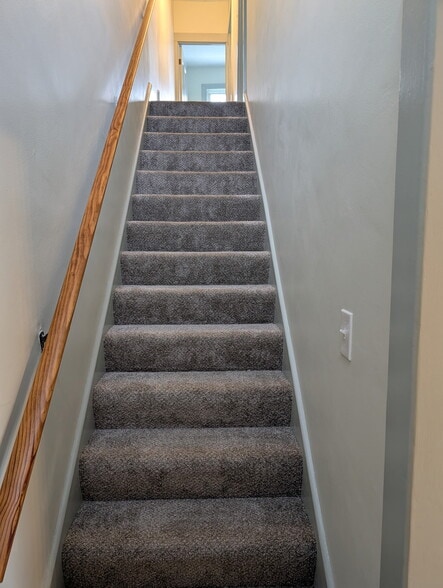 Stairs - 104 Melmore St
