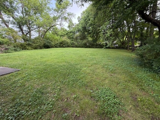 Building Photo - 2 Bed 1 Bath Duplex