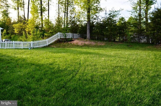 Building Photo - 10117 Elliston Ct