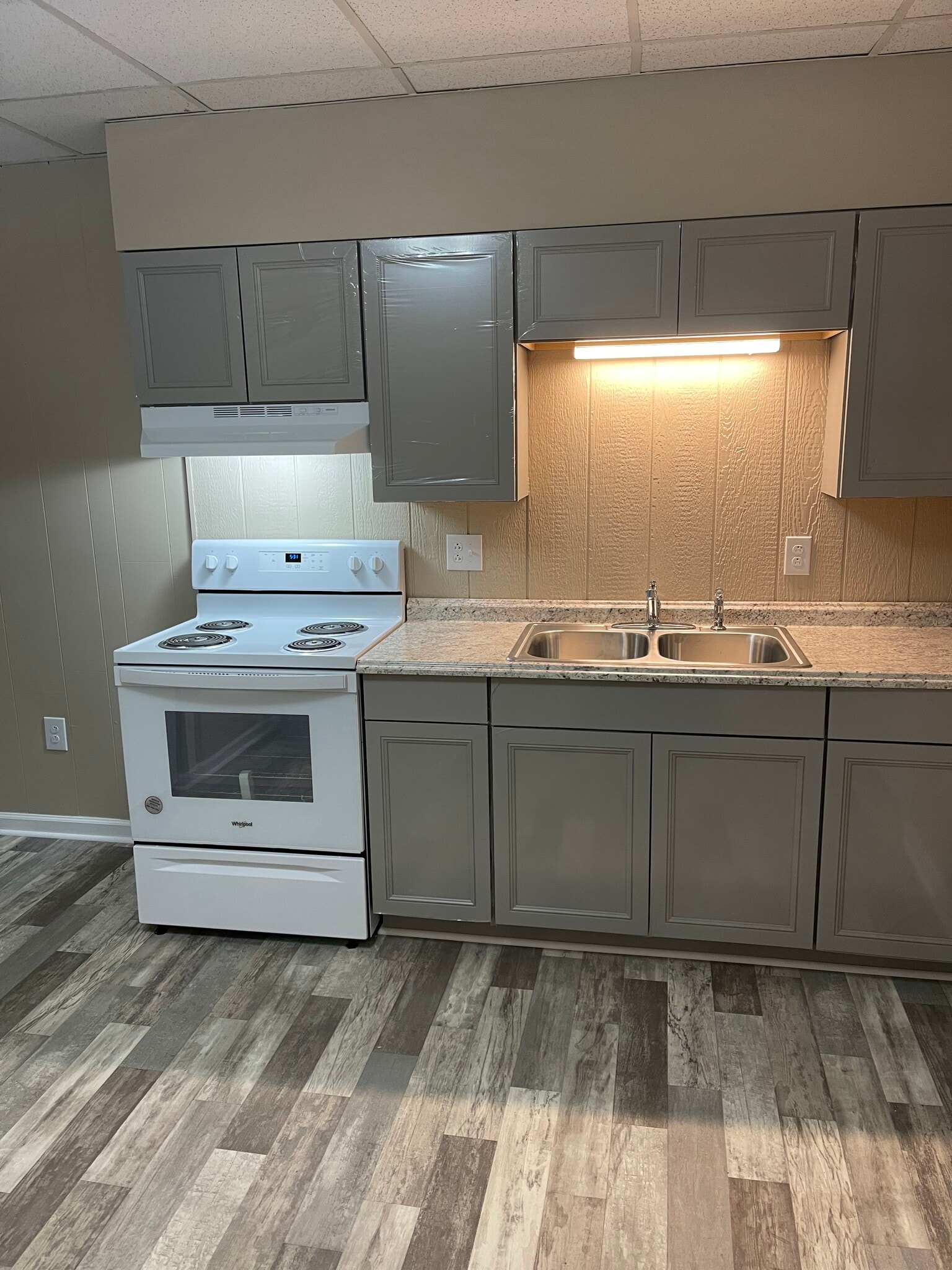 Newly remodeled kitchen - 207 W Irvine St
