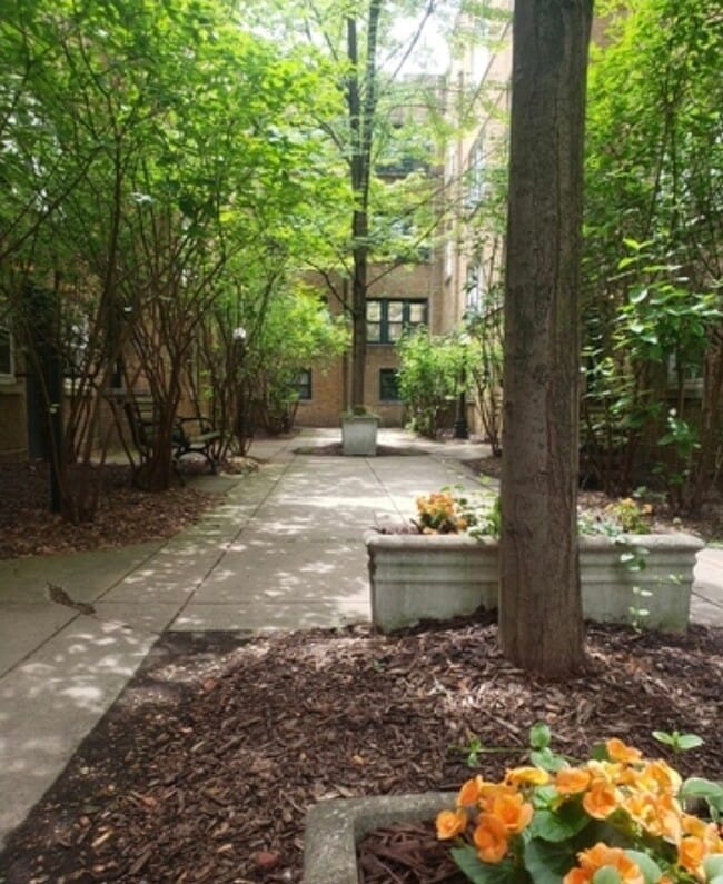 Building Photo - 685 W Wrightwood Ave