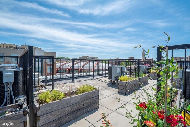 Building Photo - 2422 17th St NW