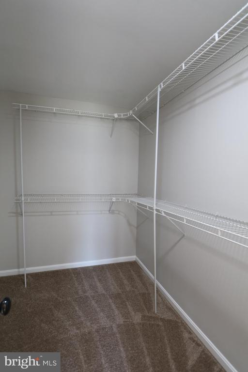 Building Photo - 14317 Chapel Cove Ct