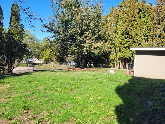 back yard - 5095 SW 163rd Ave