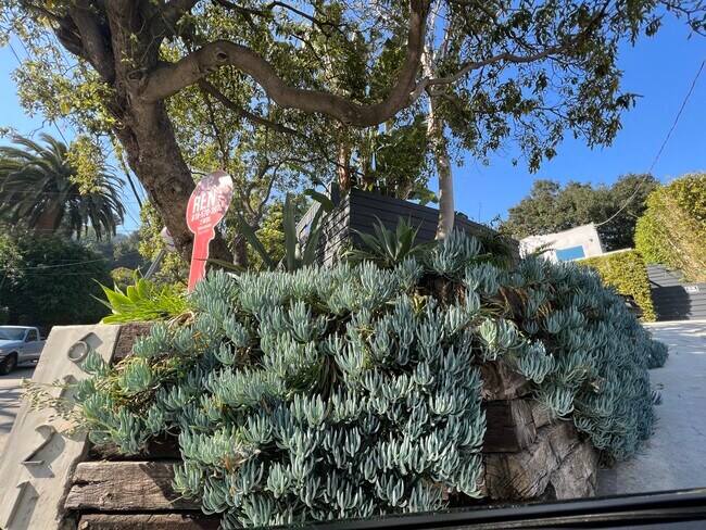 Building Photo - 6121 Glen Holly St