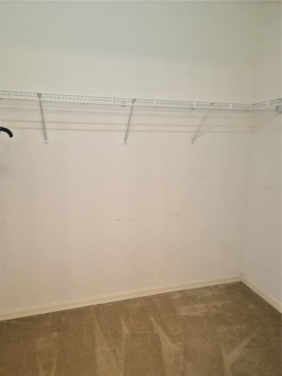 Building Photo - 1814 San Silvestro Dr