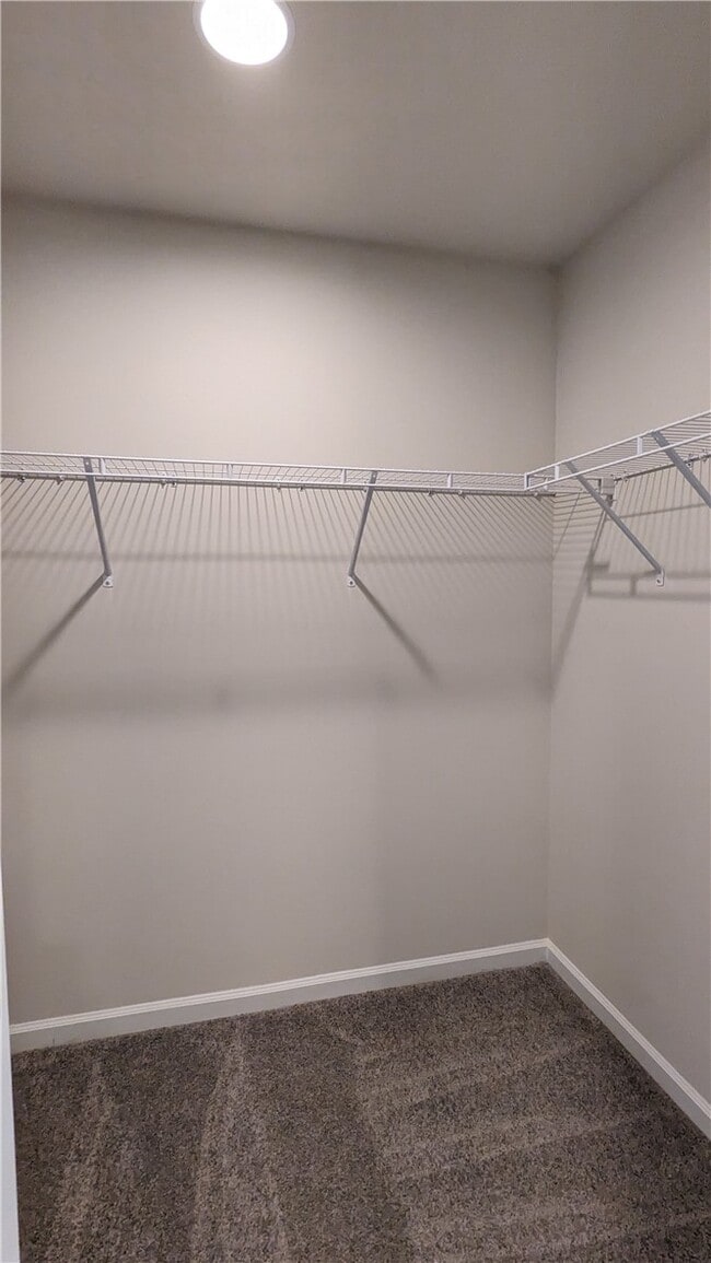 Building Photo - 249 Carvel Trl