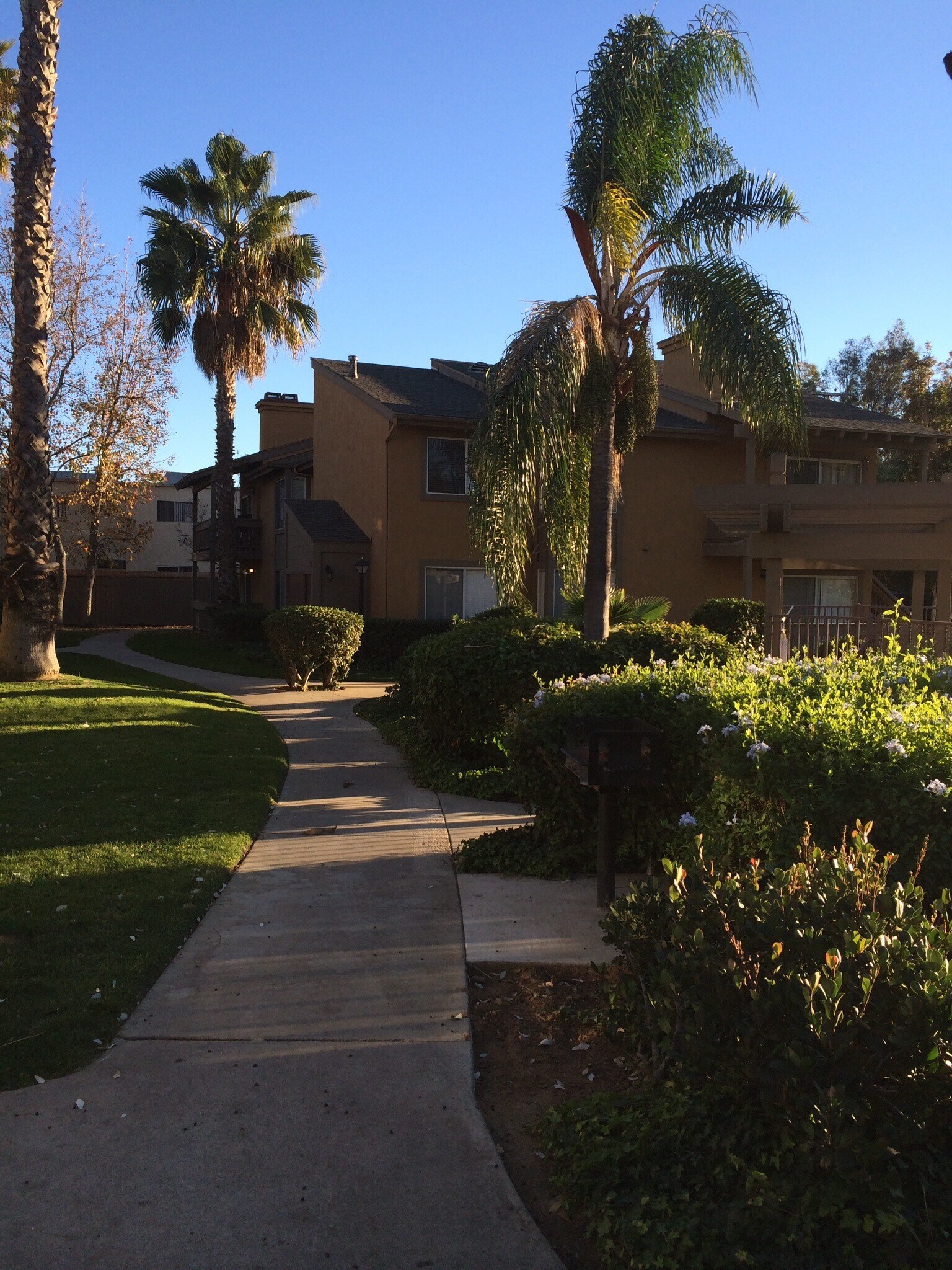 Building Photo - 1101 Chestnut St