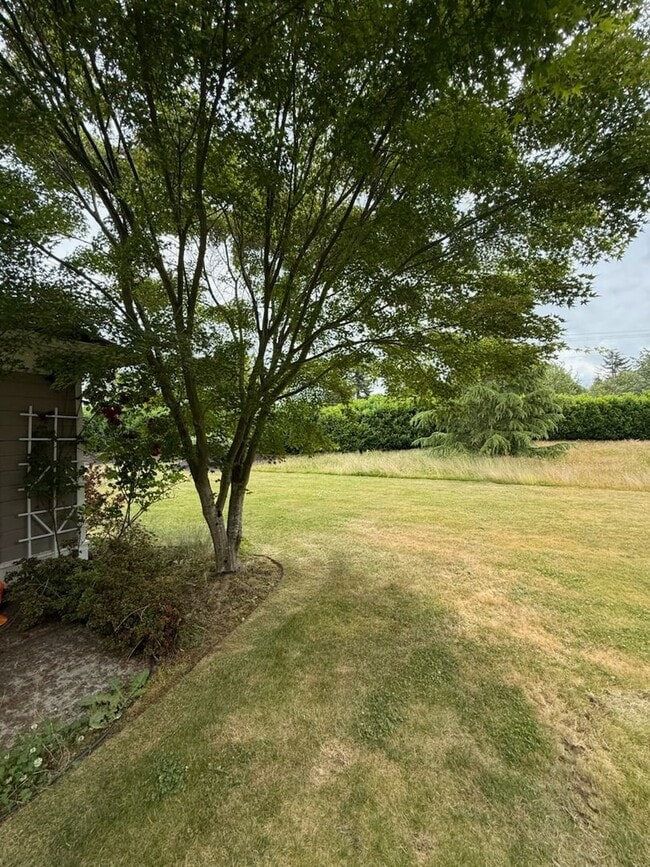 Building Photo - Beautiful Lynden Home!