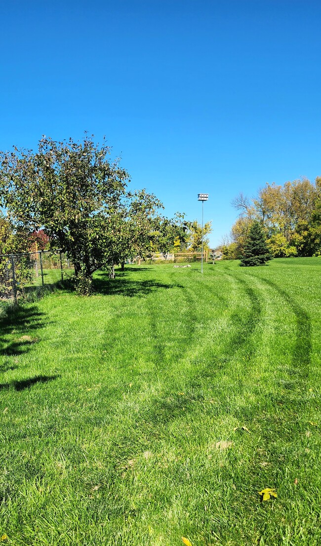 Apple trees and garden - 10178 Karston Ave NE