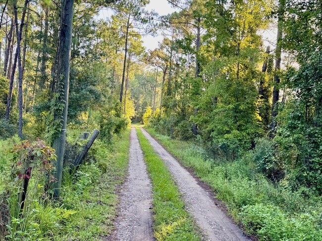 Building Photo - 140 Schofield Ln