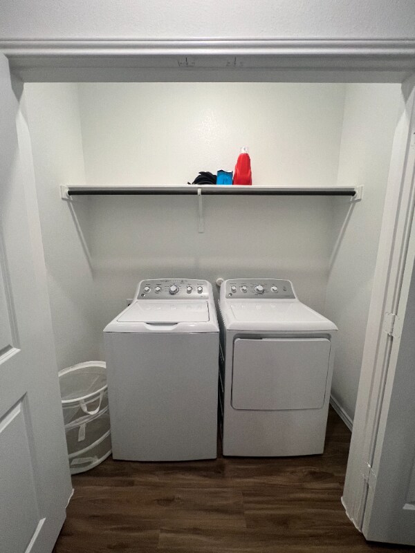 Building Photo - 2308 Nightview Dr