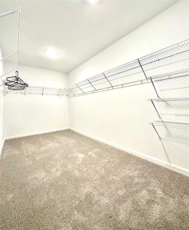 Building Photo - 1029 Harold Pass