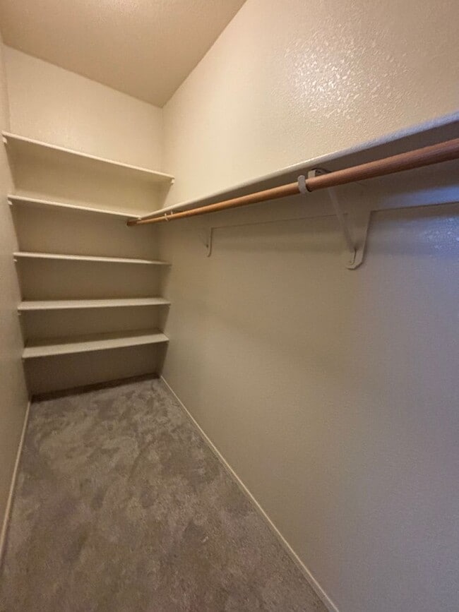 Building Photo - 5484 Canteria Court