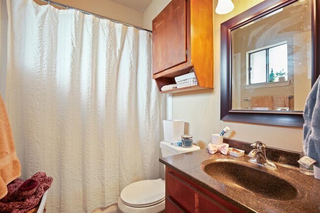 Building Photo - 3316 Guadalupe St