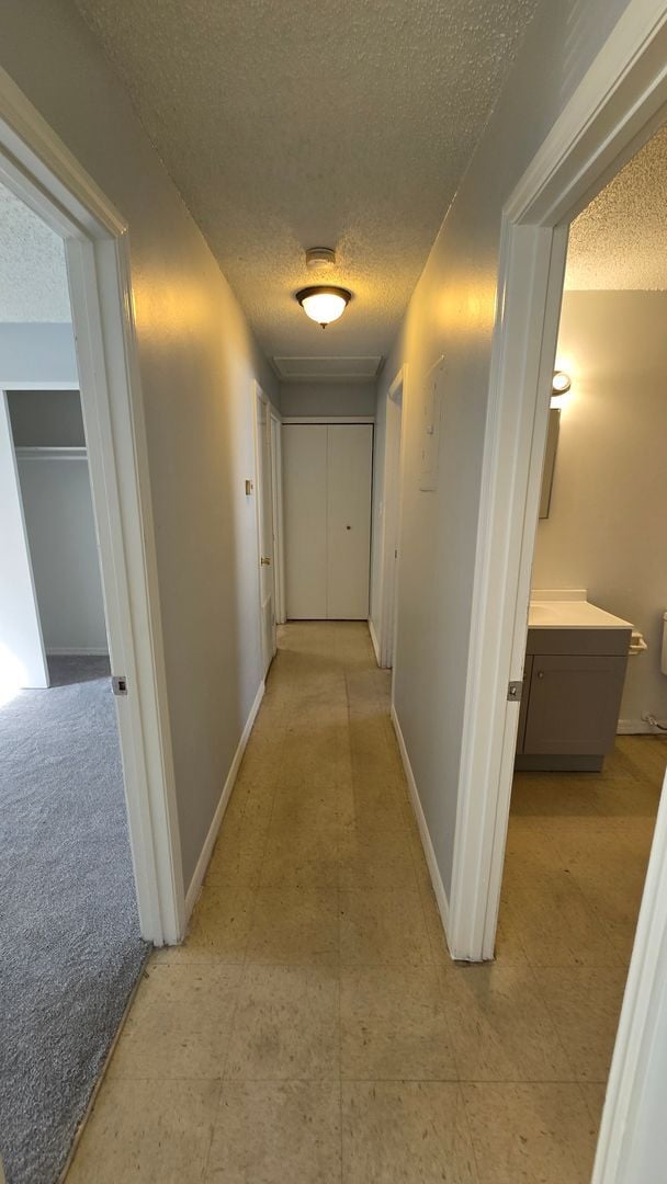 Building Photo - 3BR / 1BA Rental Home – Fresh Updates – Leesburg