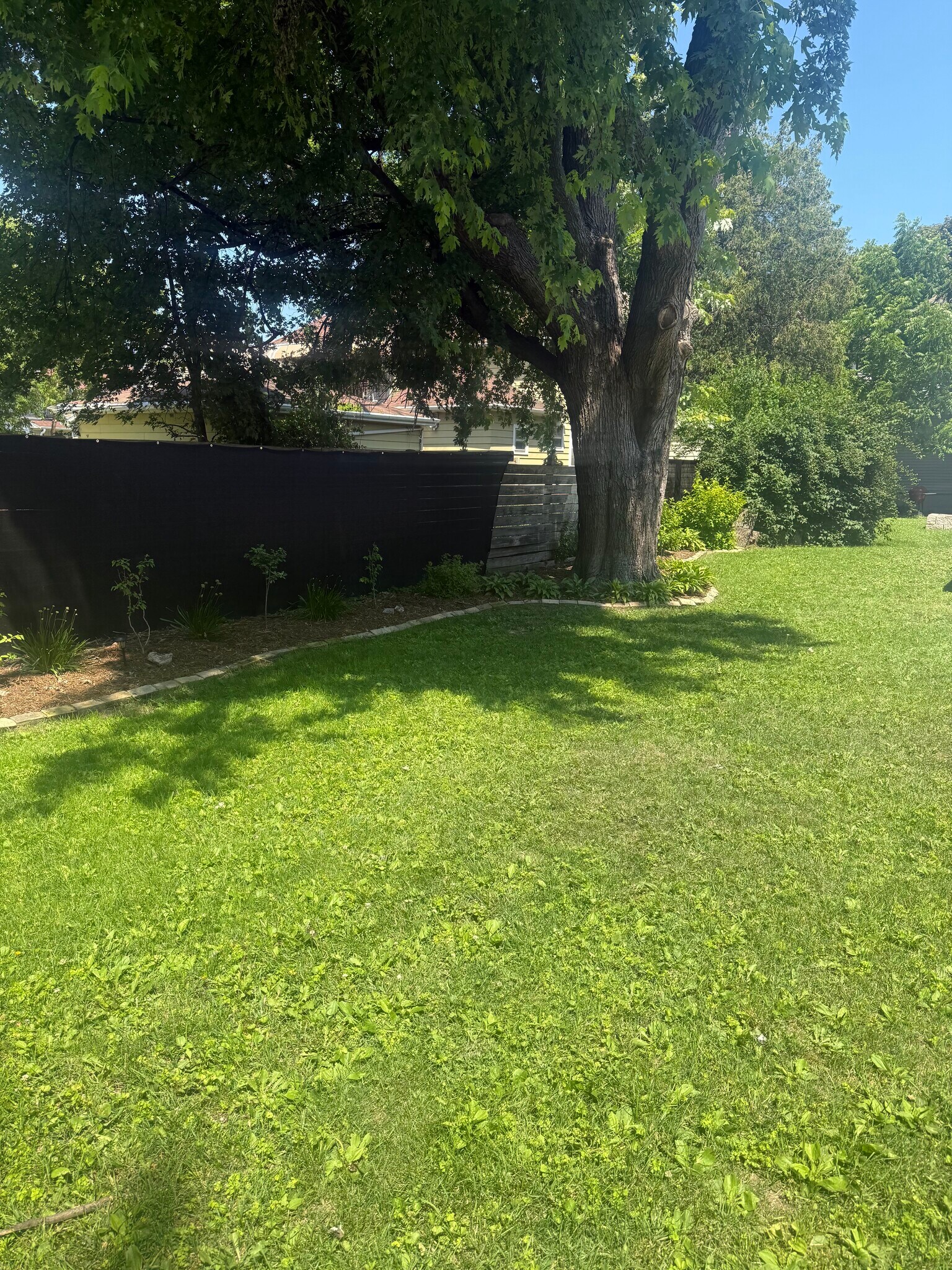 Back yard is fenced in - 1540 N 10th St