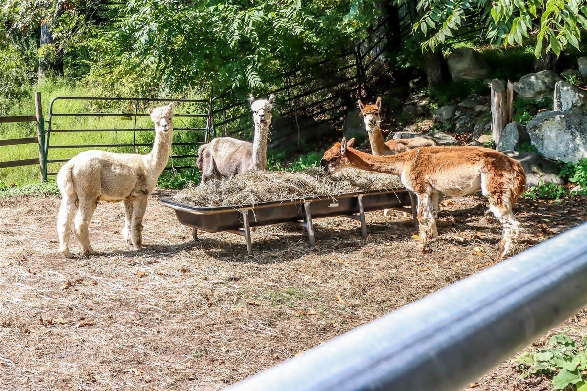 Building Photo - 155 Squash Hollow Rd