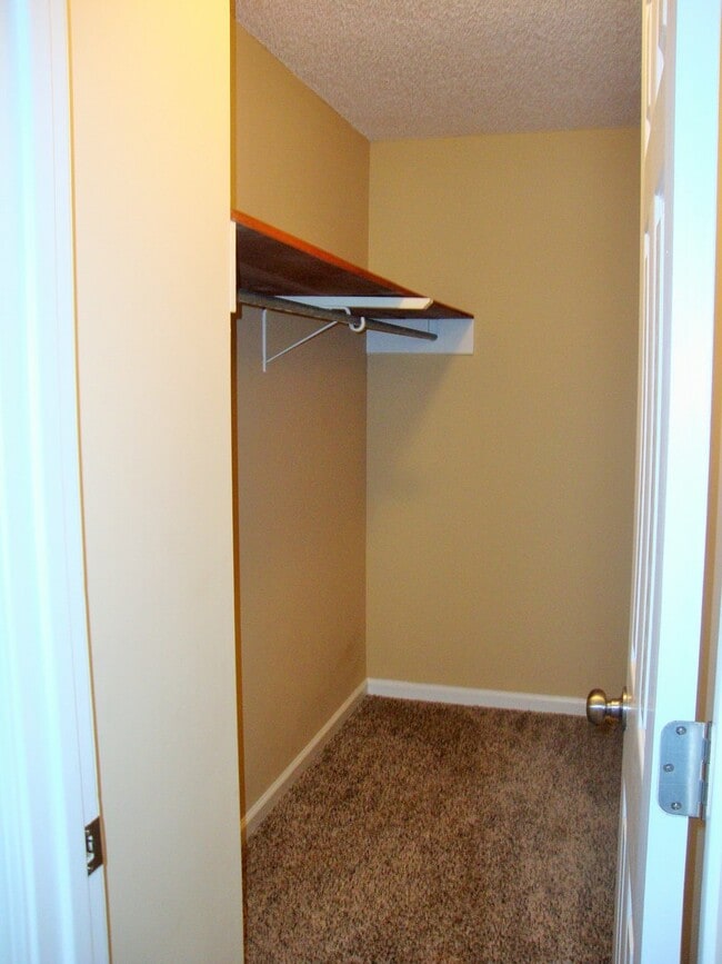 Building Photo - 994 Roedeer Dr