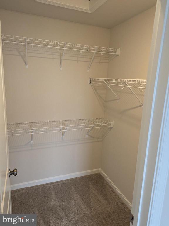 Building Photo - 513 Seeback Dr