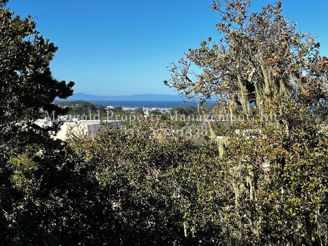 Building Photo - Spacious Condo Located At Ocean Forest Condominiums