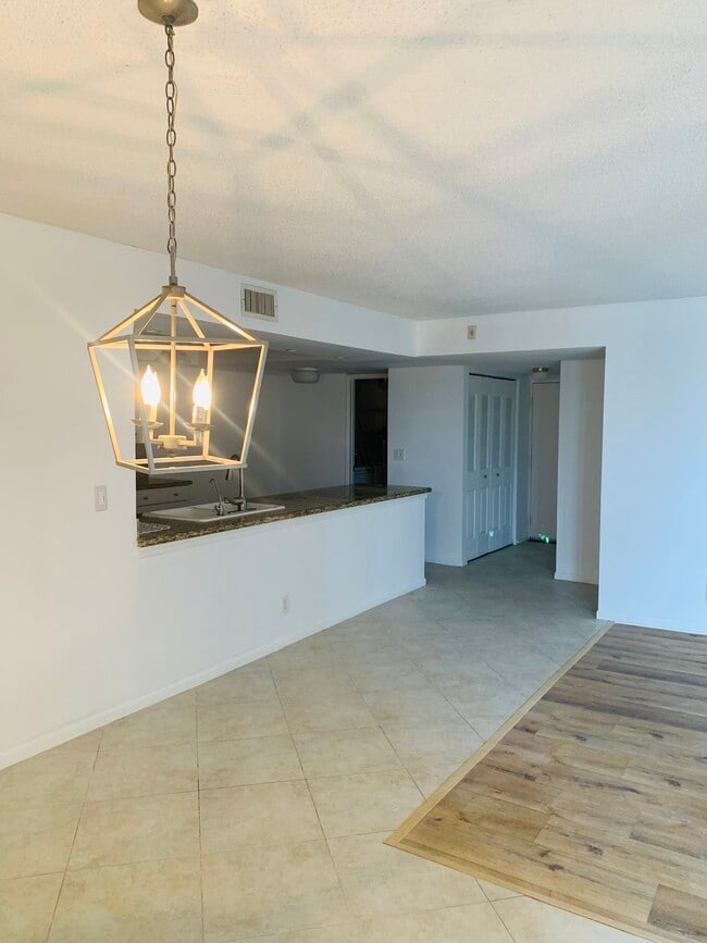 Open kitchen counter ,entrance closet - 950 Egret Cir