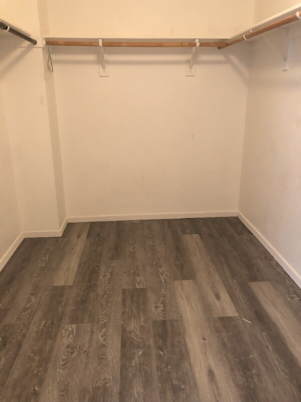 Building Photo - 3112 Puffin Cir