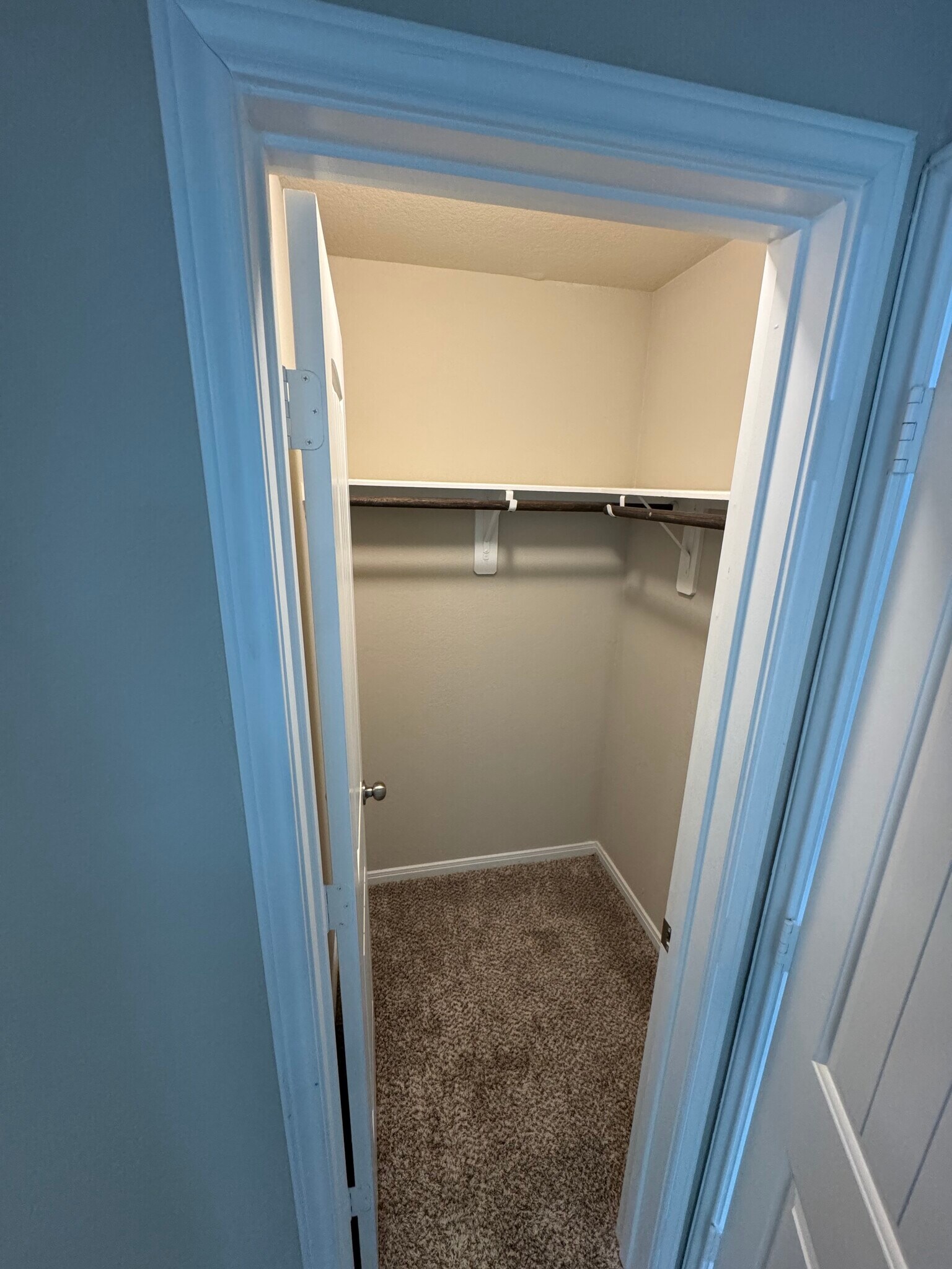 Building Photo - 7911 Tuscan Cypress Dr