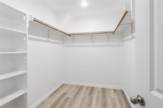 Building Photo - 6717 Glimfeather Dr