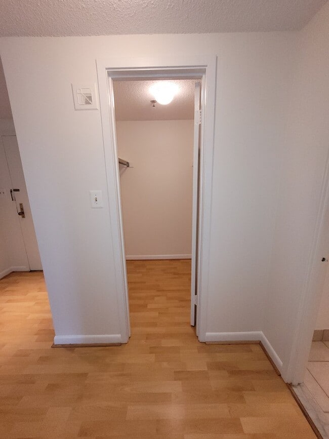 Walk-in Closet - 3709 S George Mason Dr