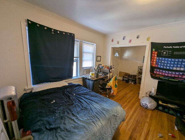 Building Photo - Renovated Studio in Heart of Rogers Park LUC