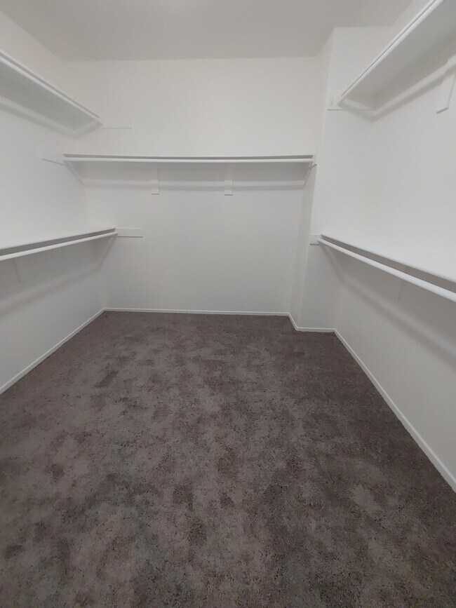 Master Walk-in Closet - 17528 Yellowwood Way