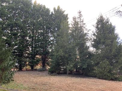 Building Photo - 518 Eliada Home Rd