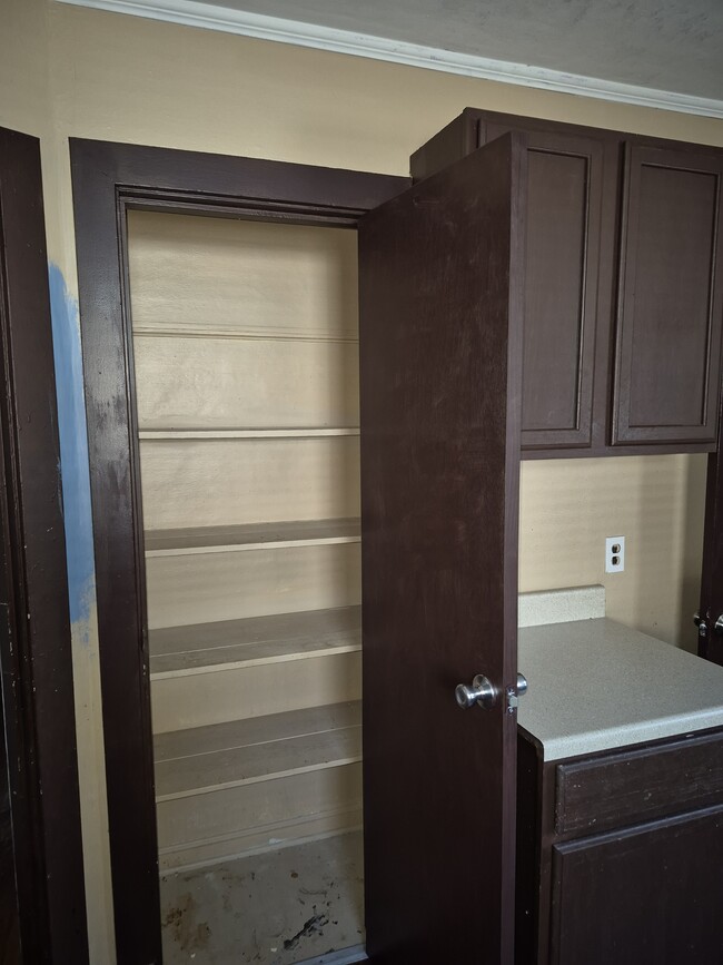 Building Photo - 429 Shirley Ave