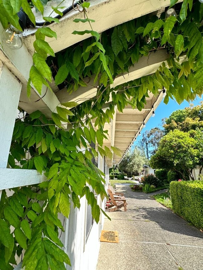 Building Photo - 327 Woodland Park