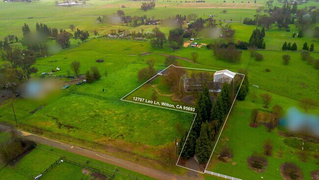 Building Photo - 12707 Leo Ln